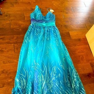 Cachet Mermaid Color Dress